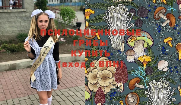 гашиш Пересвет