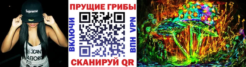 где найти Монино Галлюциногенные грибы мицелий